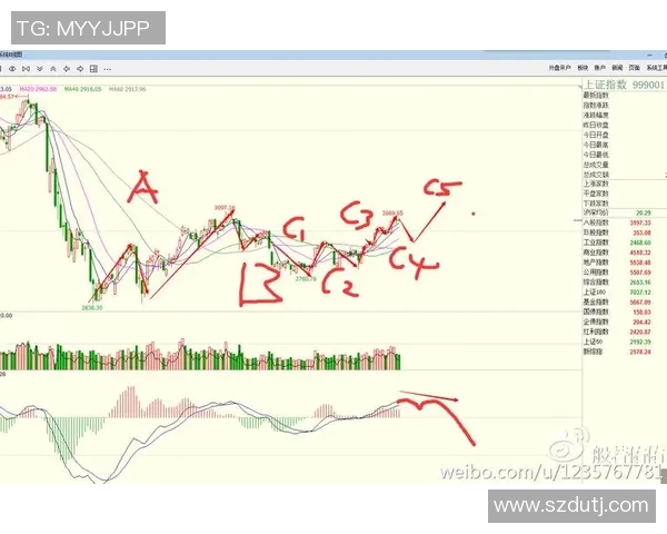 北京网球队防守策略深度解析与战术应用探讨